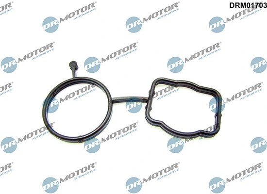 LIZARTE DRM01703