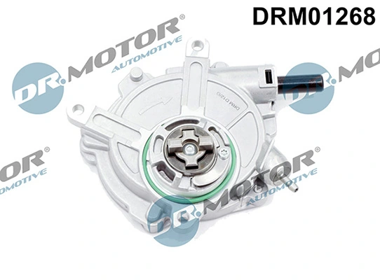 LIZARTE DRM01268