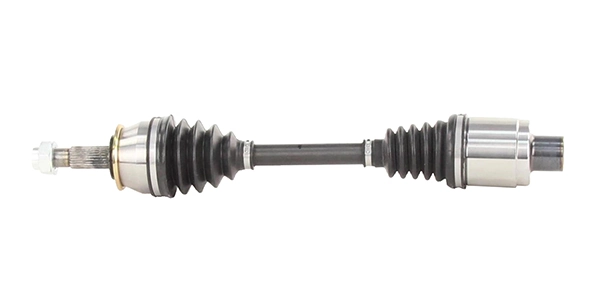 LIZARTE DS1213