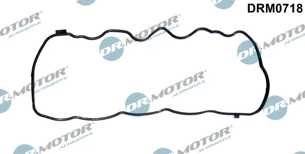 LIZARTE DRM0718