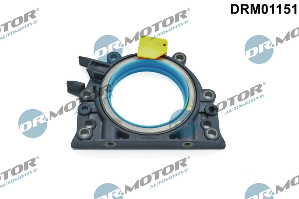 LIZARTE DRM01151