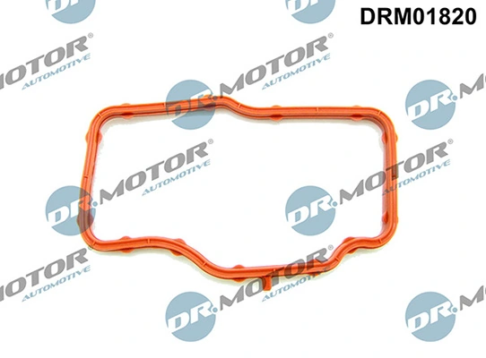 LIZARTE DRM01820
