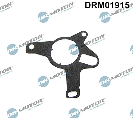 LIZARTE DRM01915