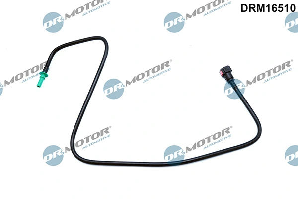 LIZARTE DRM16510