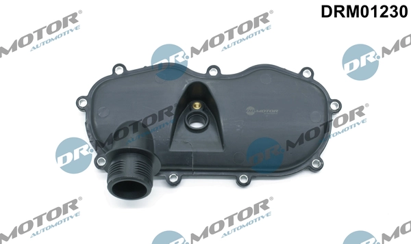 LIZARTE DRM01230