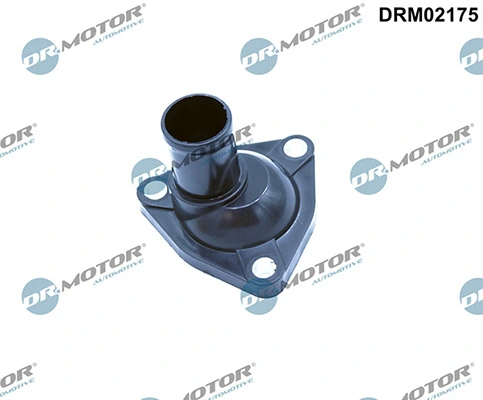 LIZARTE DRM02175