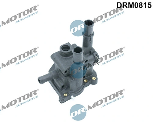 LIZARTE DRM0815