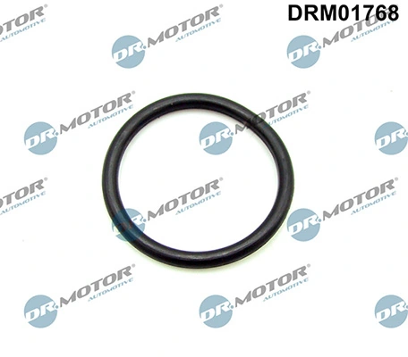 LIZARTE DRM01768