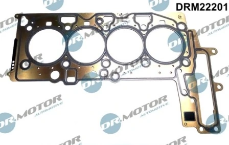 LIZARTE DRM22201