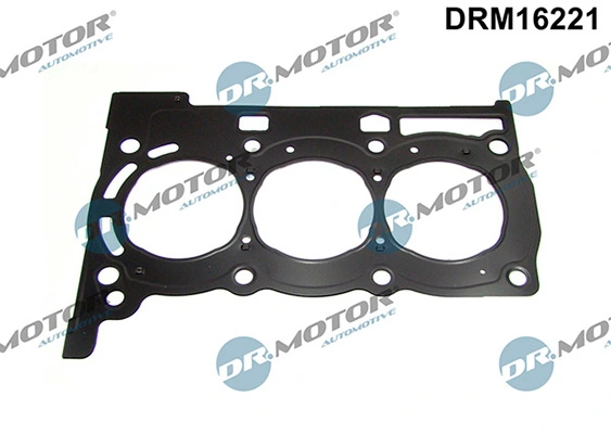 LIZARTE DRM16221