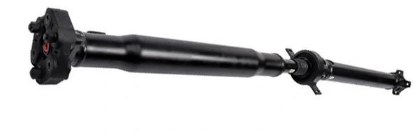 LIZARTE PS0007