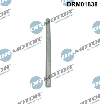 LIZARTE DRM01838