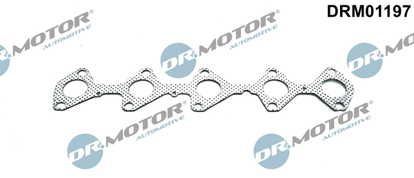 LIZARTE DRM01197