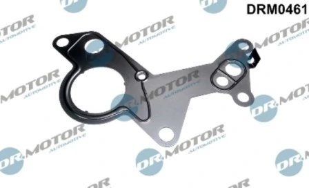 LIZARTE DRM0461