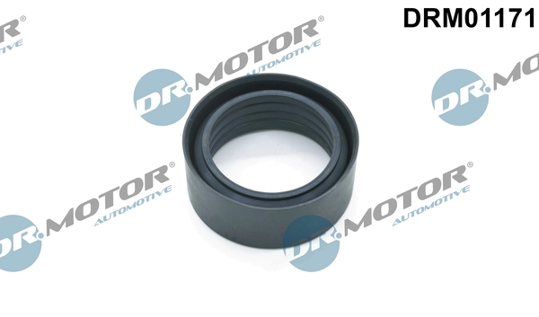 LIZARTE DRM01171