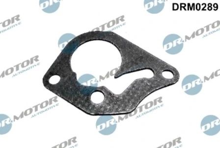 LIZARTE DRM0289