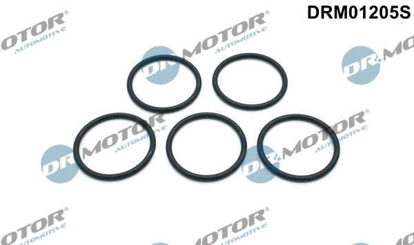 LIZARTE DRM01205S