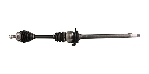 LIZARTE DS0414