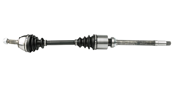 LIZARTE DS0553