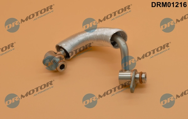 LIZARTE DRM01216
