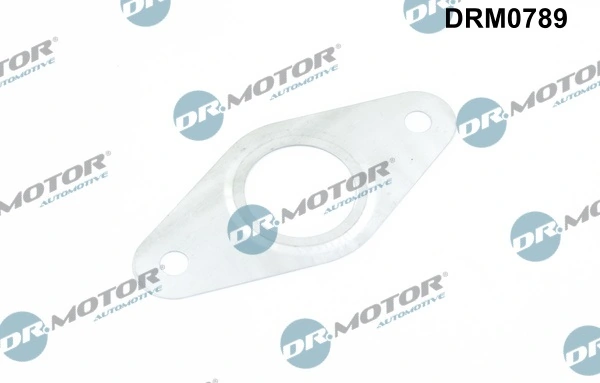 LIZARTE DRM0789