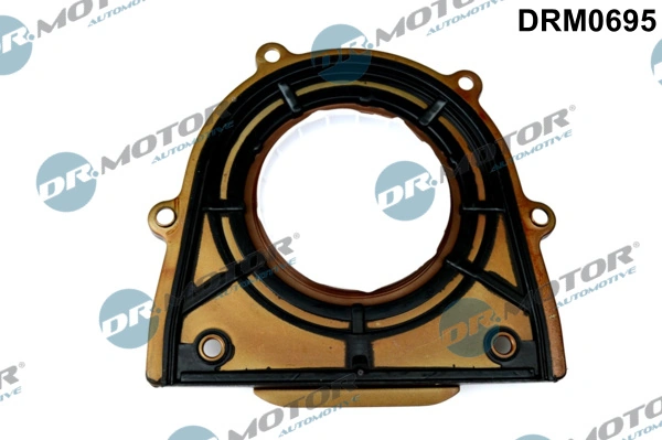 LIZARTE DRM0695