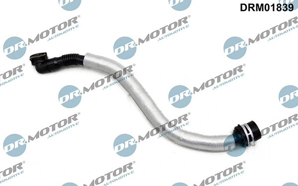 LIZARTE DRM01839