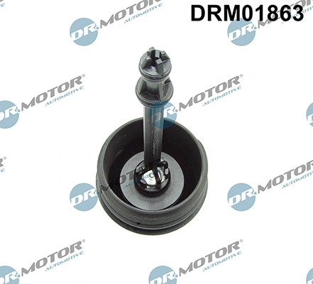 LIZARTE DRM01863