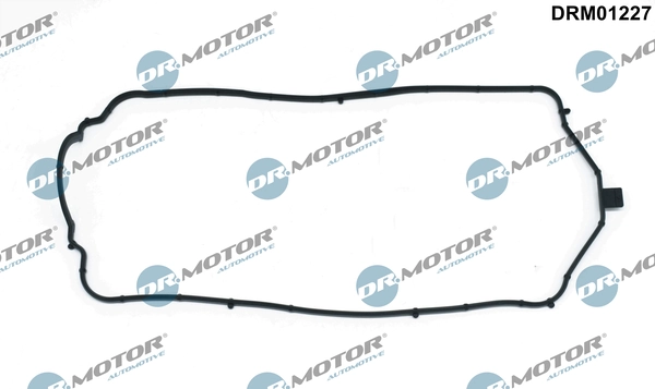 LIZARTE DRM01227