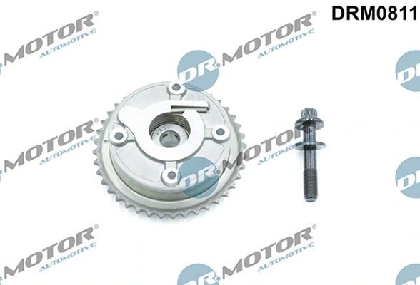LIZARTE DRM0811