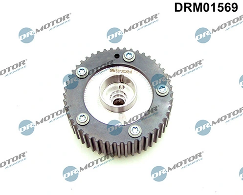 LIZARTE DRM01569