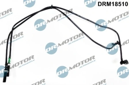 LIZARTE DRM18510