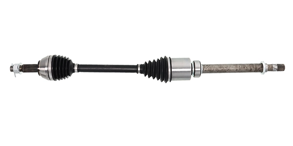 LIZARTE DS1715