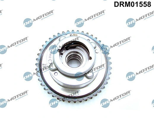 LIZARTE DRM01558