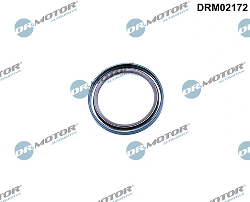 LIZARTE DRM02172
