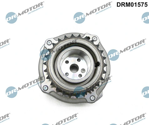 LIZARTE DRM01575