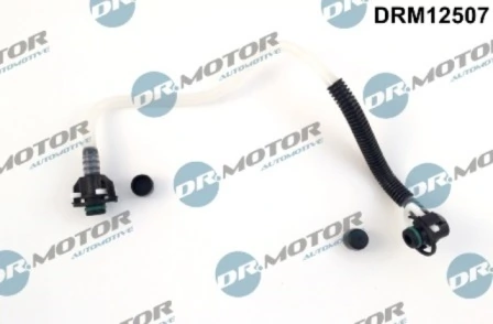 LIZARTE DRM12507