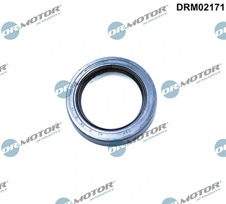LIZARTE DRM02171