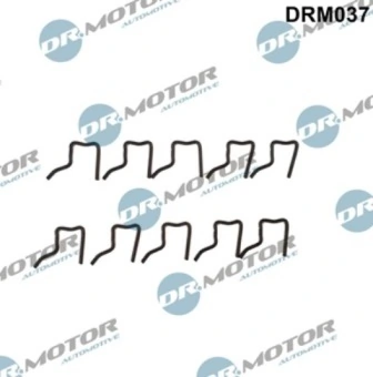LIZARTE DRM037