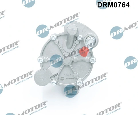 LIZARTE DRM0764
