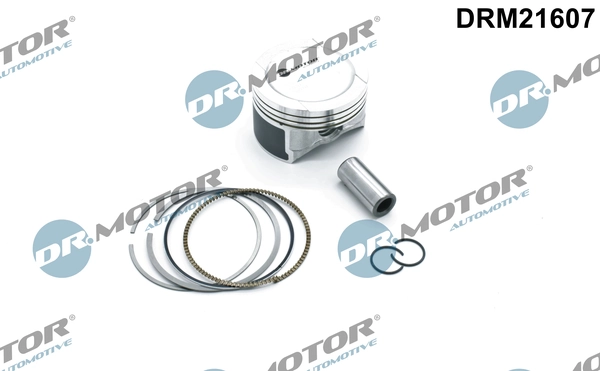 LIZARTE DRM21607