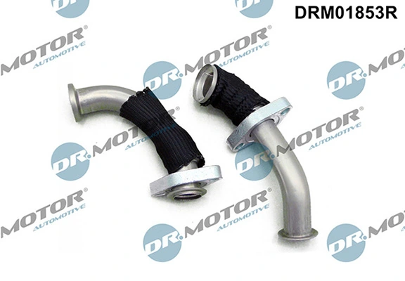 LIZARTE DRM01853R