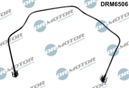 LIZARTE DRM6506