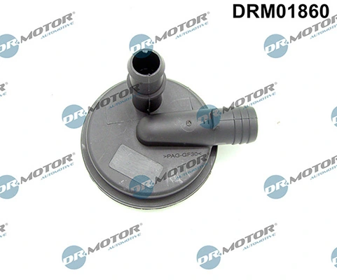 LIZARTE DRM01860