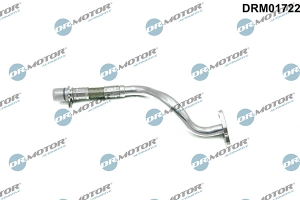 LIZARTE DRM01722