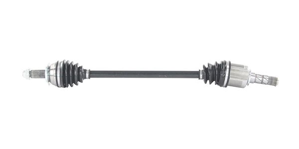 LIZARTE DS1061