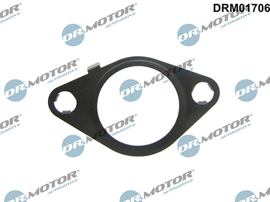 LIZARTE DRM01706