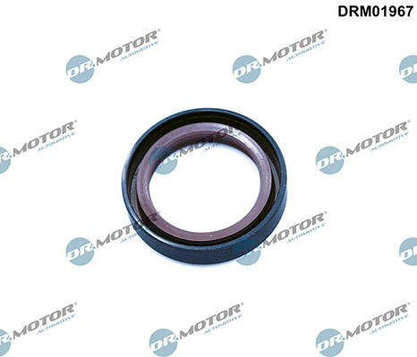 LIZARTE DRM01967