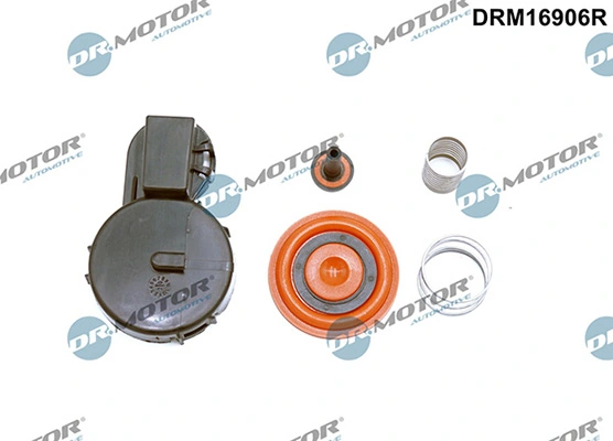 LIZARTE DRM16906R