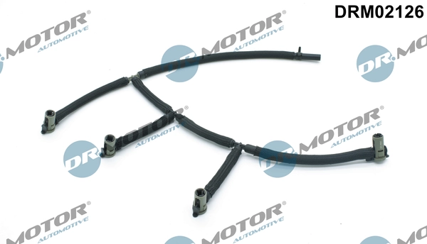 LIZARTE DRM02126
